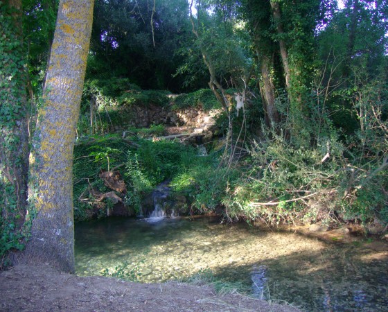 Cañón del Rio Izana