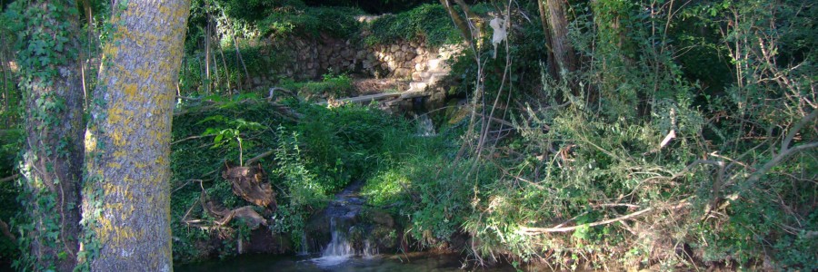 Cañón del Rio Izana